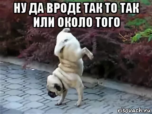Да вроде не чем