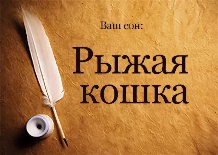 К чему снится сигареты во сне. Сонник ремонт. К чему снится курение сигарет. Приснилось что курю сигарету во сне некурящему. К чему снится ремонт.