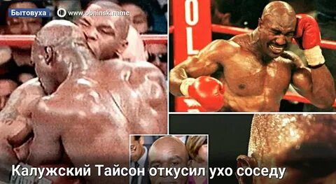 Майк тайсон откусил ухо бой майка