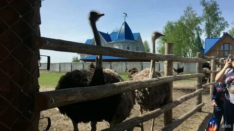Дикая ферма