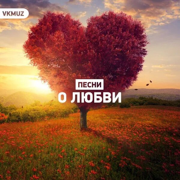 Сборник бардовской песни. Лучшие песни любовь. Песни любви. Хорошие песни про любовь. Песня о любви.