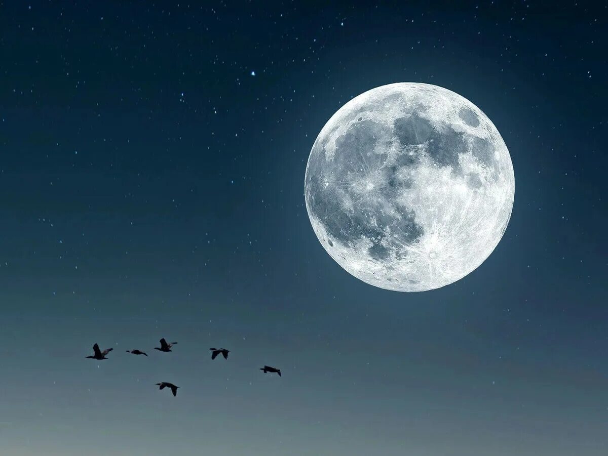 Полнолуние в январе 2024г. Полнолуние астрология. Полнолуние в январе 2024г. Полнолуние. Суперлуние 2022.