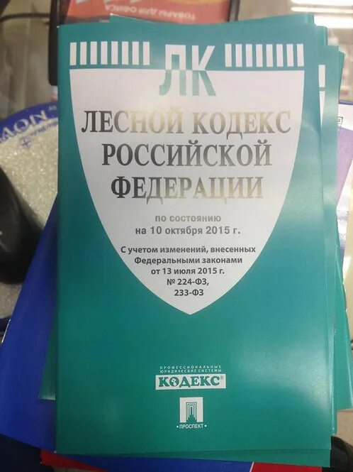 Изменения в лесном кодексе