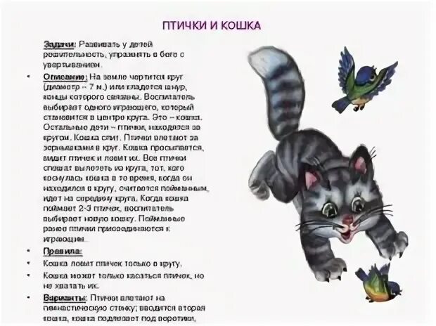 Подвижная игра кошечка. Подвижная игра птички и кошка. Подвижная игра воробушки и кот. Подвижные игры про кота.