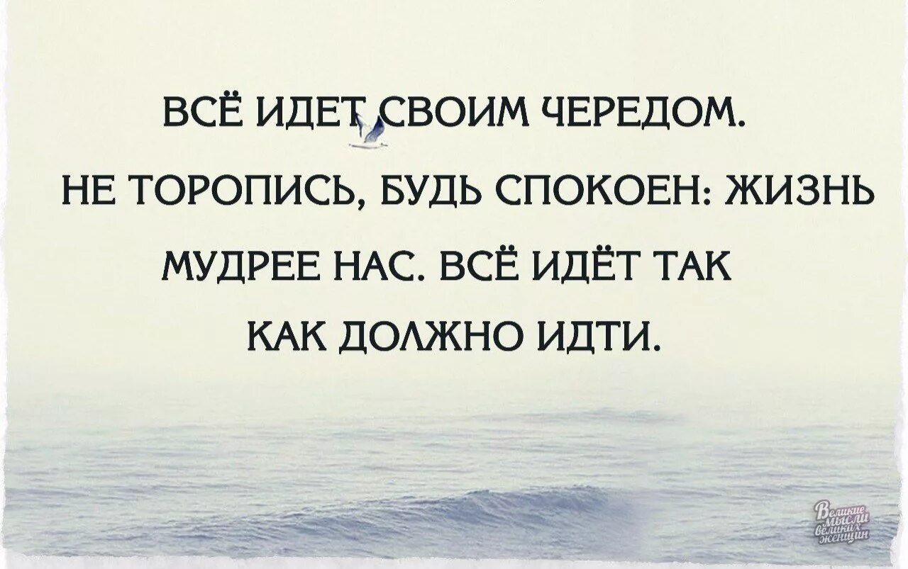 Все идет своим чередом. Не торопись все идет своим чередом. Не торопиться цитаты. Цитата все идет своим чередом.