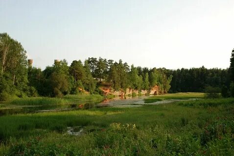 Батово сиверская