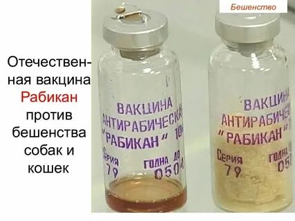 Щелково 51 вакцина инструкция