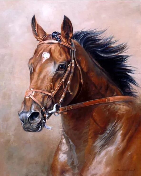 Картина лошади. Кони в живописи. Лошадь маслом. Конь картина маслом.