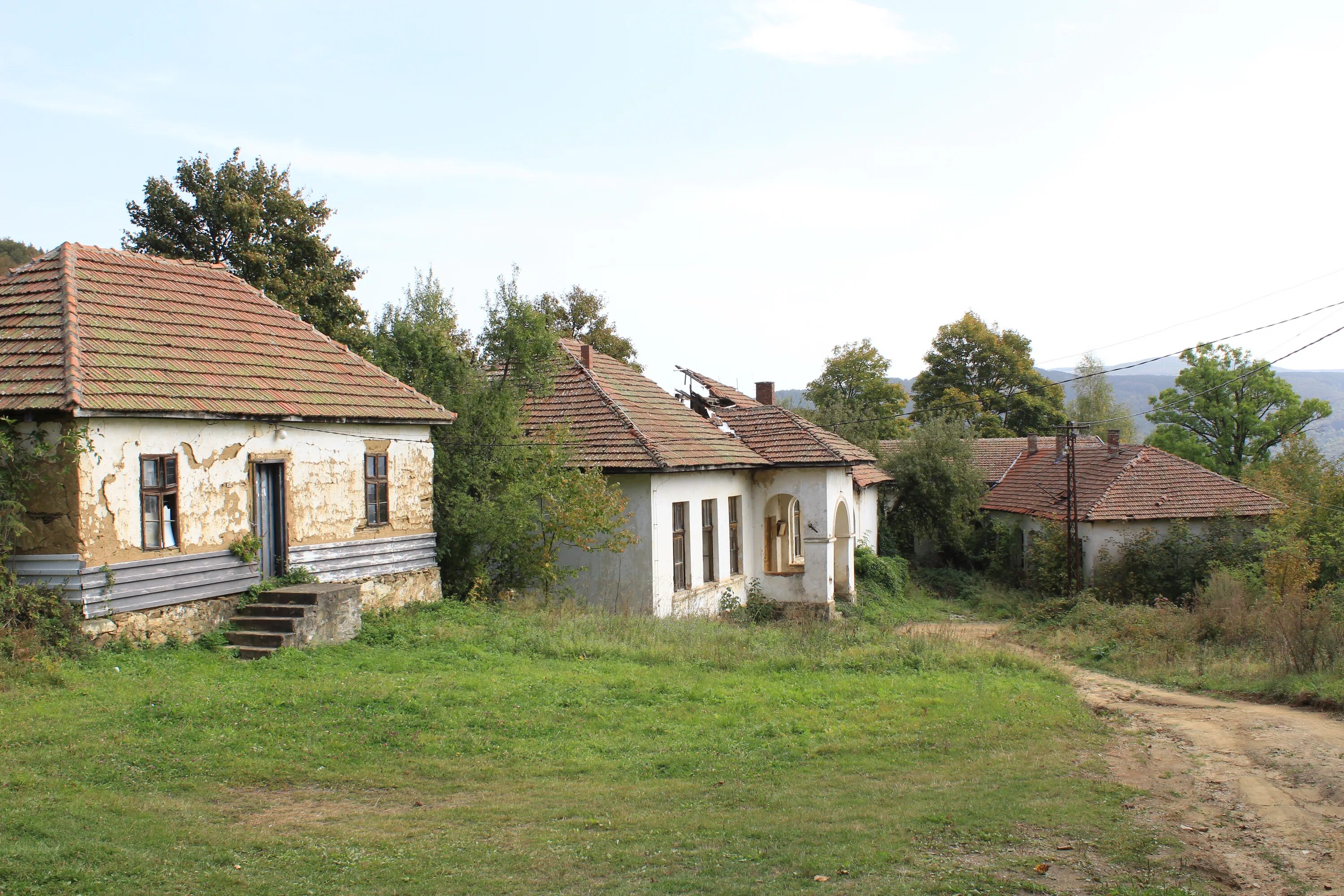 Village 21. Добра Сербия. Сербия поля.