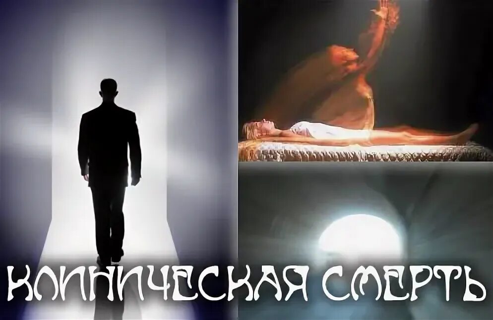 как воскресить муху. клиническая смерть картинки для презентаций. почему нельзя орать на ребенка. григорий грабовой воскрешение. может ли человек воскреснуть из мёртвых.