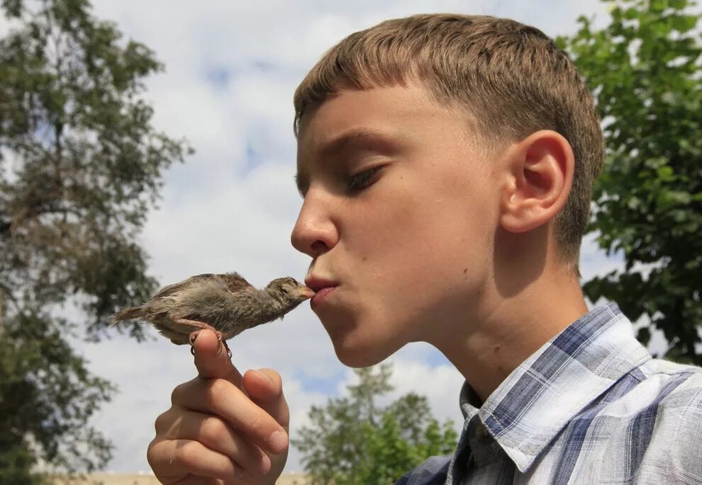 Мальчик и птица брянск. Вадим велигуров воробей. мальчик и воробей. мальчик птица. мальчик с птенчиком.