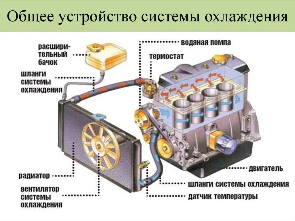 Жидкостная система охлаждения ДВС. Схема системы охлаждения автомобильного двигателя. Устройство жидкостной системы охлаждения системы охлаждения. Система охлаждения двигателя внутреннего сгорания схема. Циркуляции жидкости в системе