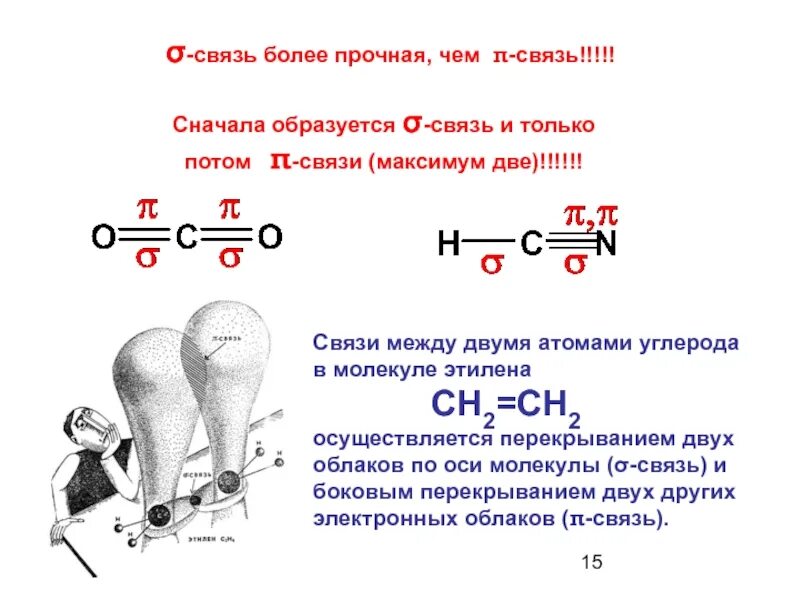 Какая связь между атомами углерода. Химические связи между атомами углерода. Наличие 2 п связей между атомами углерода. Наличие двух пи -связей между атомами углерода. Какая связь между атомами углерода в молекуле.