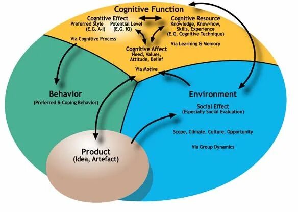 Cognitive effects. Cognitive functions. cognitive functions explanation. info cognitive functions. 8 cognitive functions.