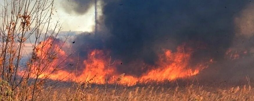 Пожар в богучарском районе. Пожар ольховатка лес.