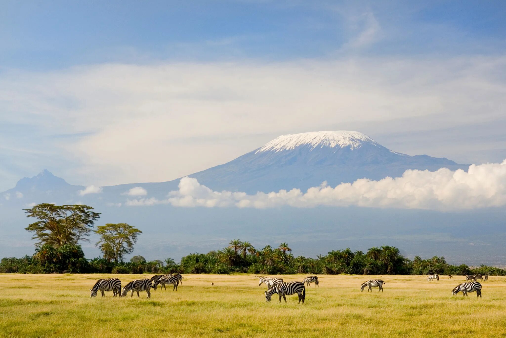 Африка самый высокий. Гора Килиманджаро в Танзании, Африка. Танзания сафари Килиманджаро. Гора вулкан Килиманджаро. Африка вулкан Килиманджаро.