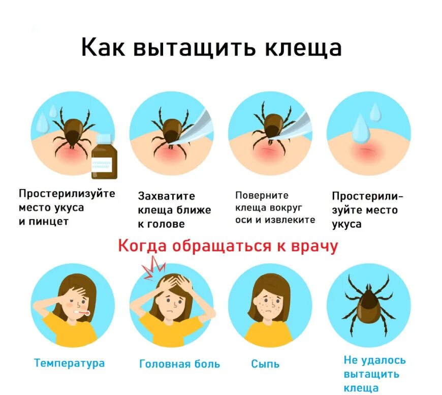 Что делать если не правильно