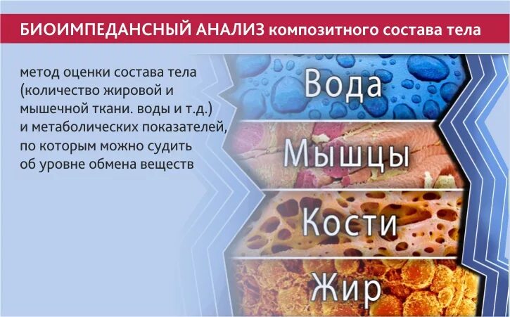 Исследование состава тела. Анализ состава тела. биоимпедансный анализ. биоимпедансный анализ состава тела. состав тела.