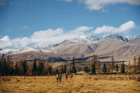 Курай республика алтай