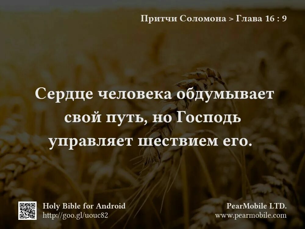 Притча царя соломона о ленивцах читать. Притчи соломона. притчи соломона библия. высказывания притчи соломона.