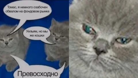 Я озабочен обвалом на фондовом рынке