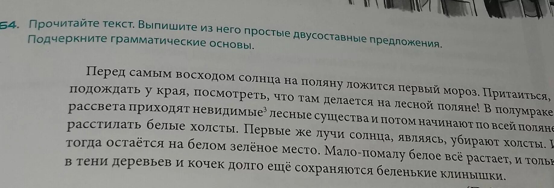 Перед восходом солнца на огромную поляну впр