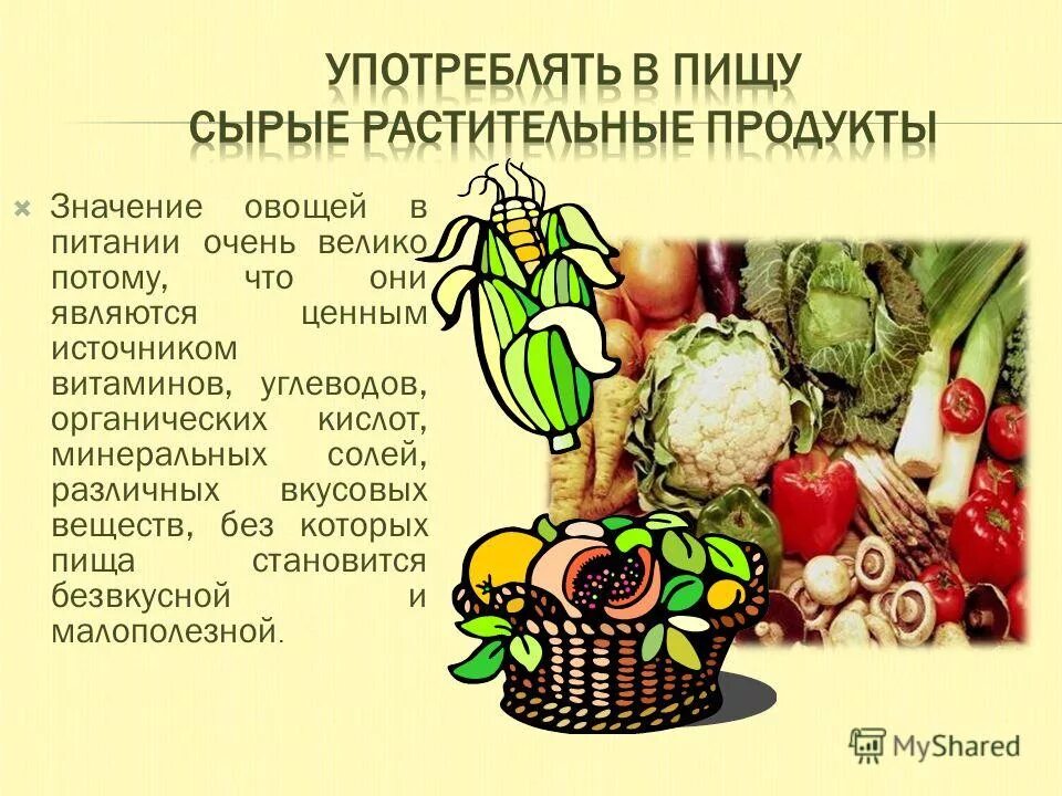 Растительные продукты. Значение овощей в питании человека. Значение овощей в питании человека презентация. Значение овощей в питании