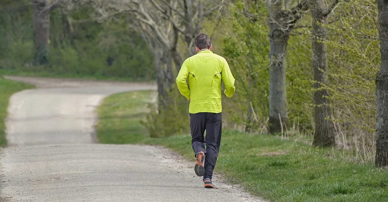 Go running every day. Go running every day. Девушка на пробежке в парке. Run every day. Asics cumulus 24.