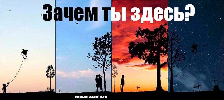 Ты лох. Мы здесь. Зачем я здесь. Я тут два часа торчу зачем. Прикольная папка.