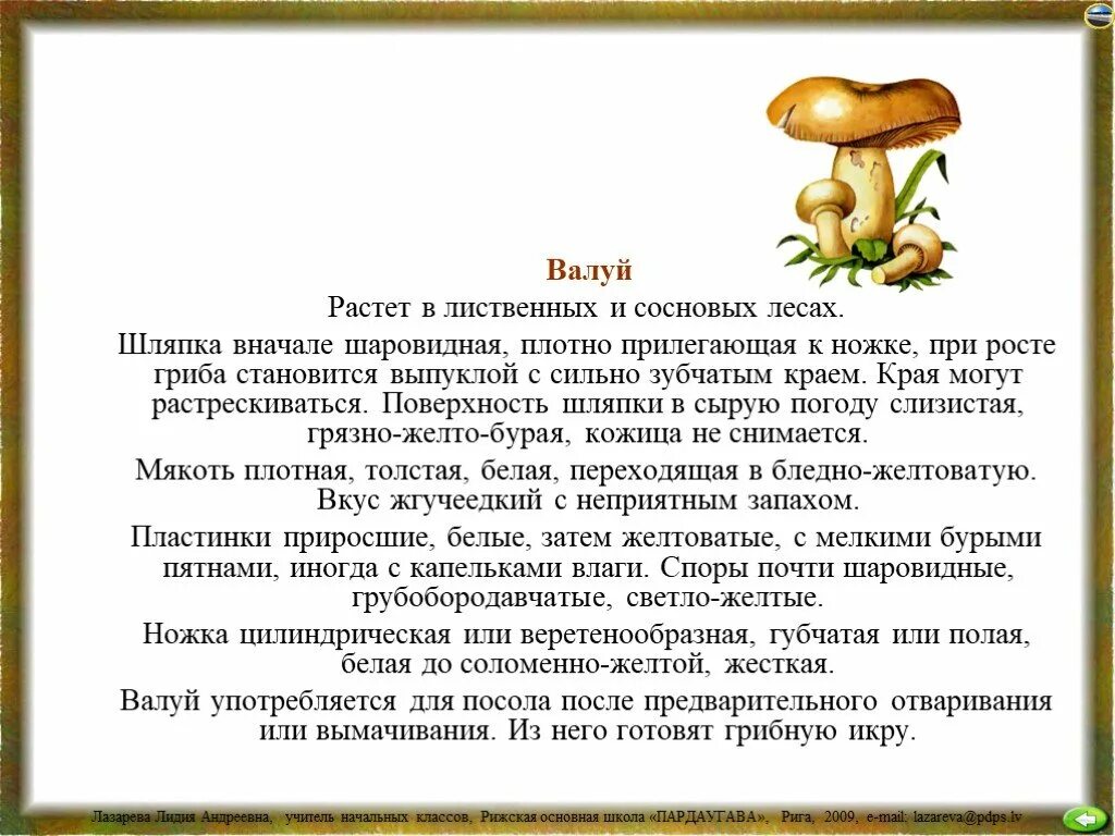 Проект про грибы. Доклад про грибы 2 класс литературное чтение. Проект про грибы. Доклад про грибы 2 класс. Рассказ о грибах.