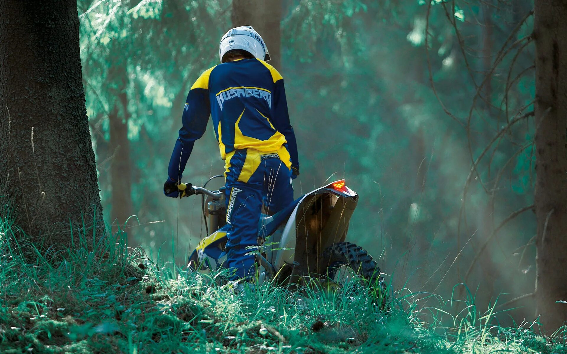 мотоциклист в лесу. байкеры в лесу. мотоцикл в лесу. байкеры ночью. мотоциклист на природе.