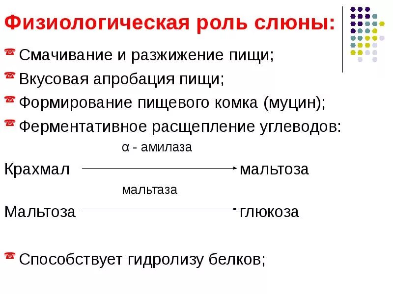 Смачивание пищи. Основные функции слюны. Смачивание пищи. Пищеварительная функция слюны. Основная функция слюны обработка пищи.
