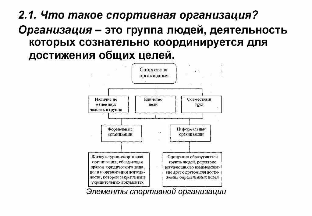 Коммерческая спортивная организация