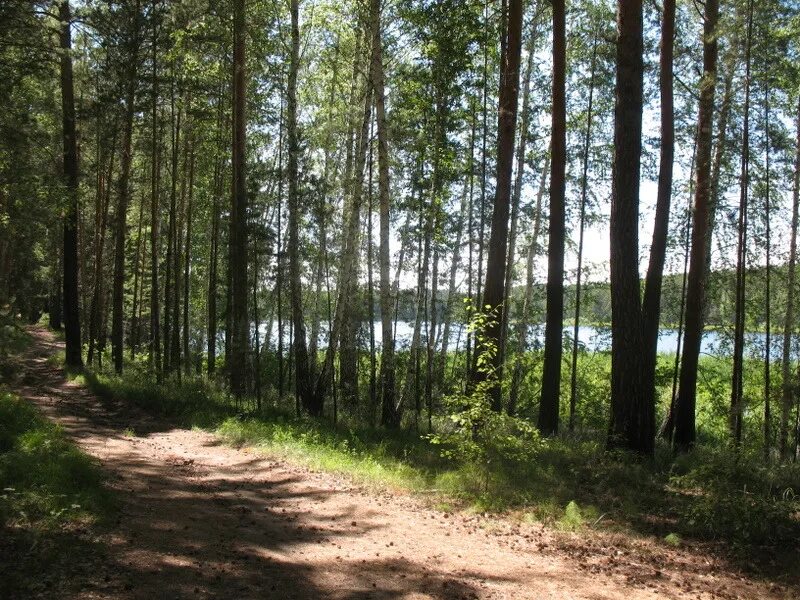 Купить шарапы. Шарап Новосибирск. Шарап Ордынского района. База отдыха Шарап. База отдыха Шарап Ордынский район.