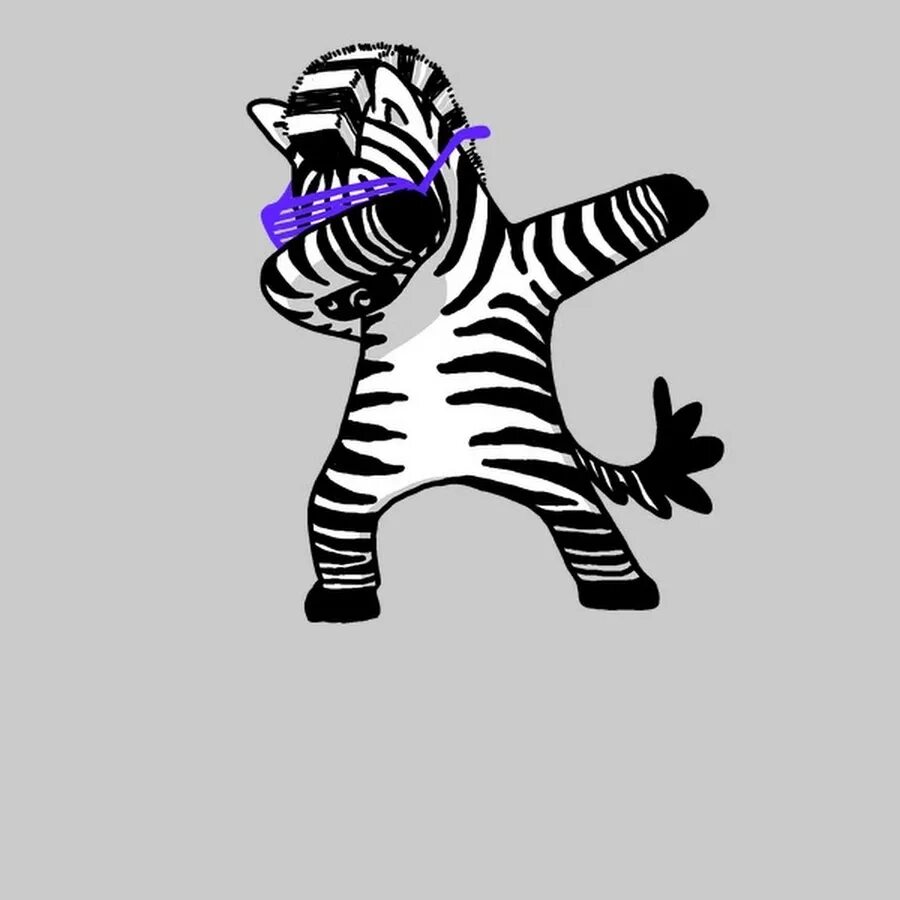 Zebra 2d