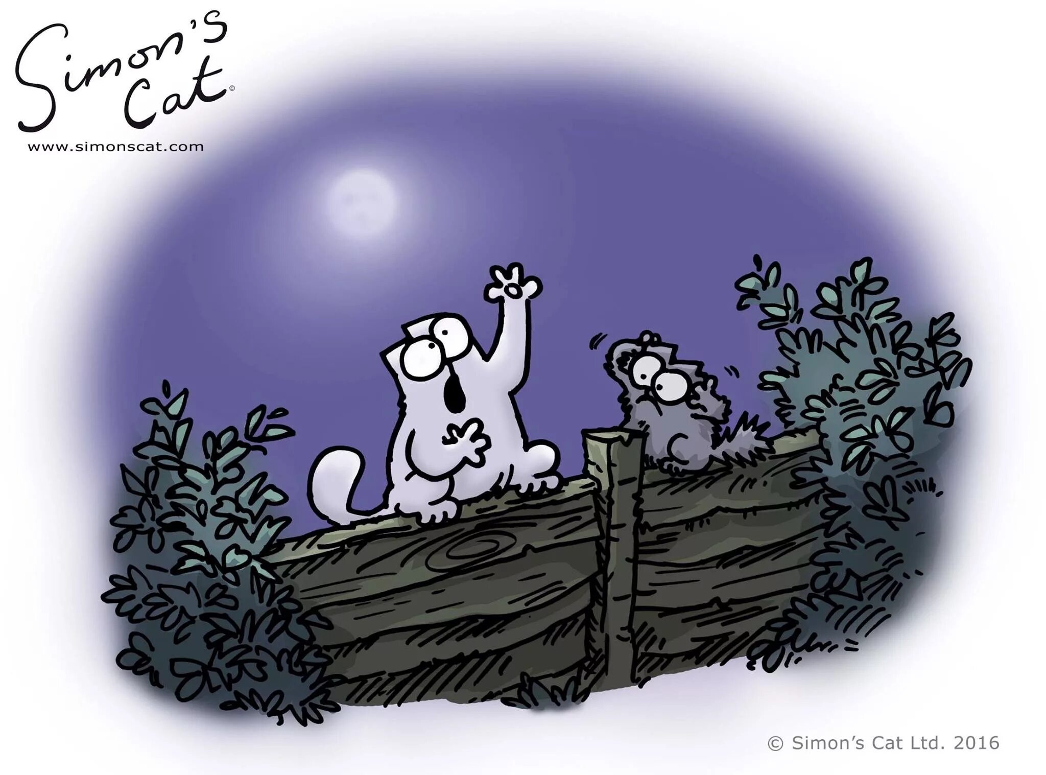 Кот саймона игра без правил. Simon's перевод. Кот саймон и хозяин. Simon's перевод. Саймон прикол.