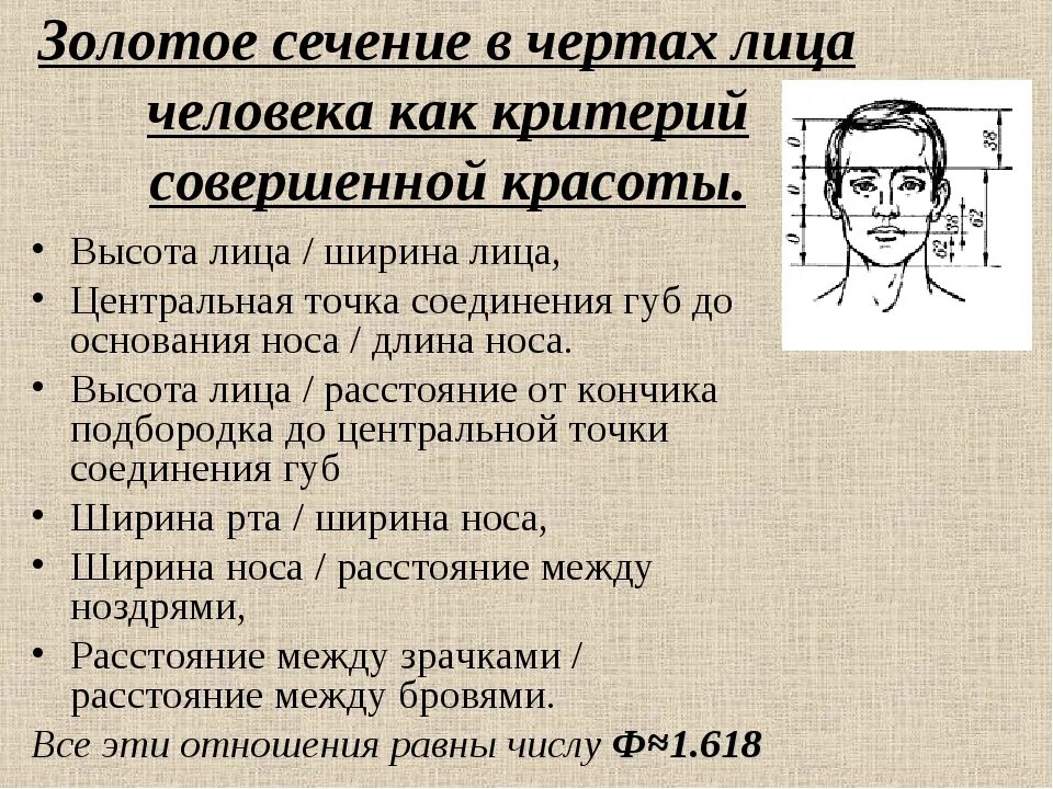 Программа черты лица. Золотое сечение лица. золотое сечение в лице человека. человек с идеальными пропорциями лица. золотое сечение пропорции лица.
