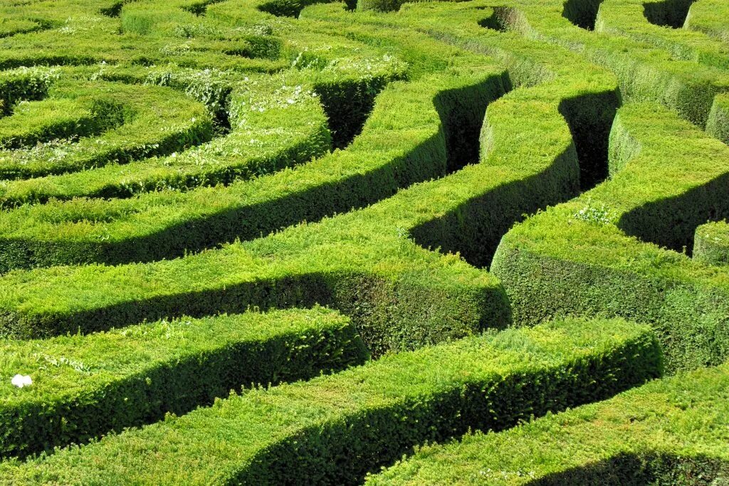 Лабиринт в каком городе. Лабиринт лонглит (longleat hedge maze), англия, великобритания. лабиринт longleat hedge maze. лабиринт живая изгородь. туя лабиринт.