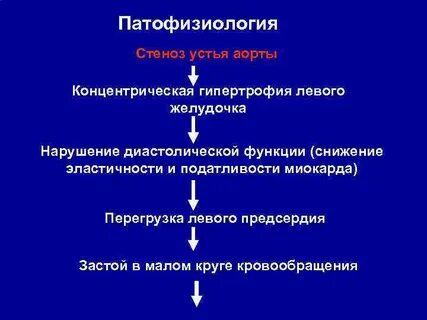 Концентрическая гипертрофия