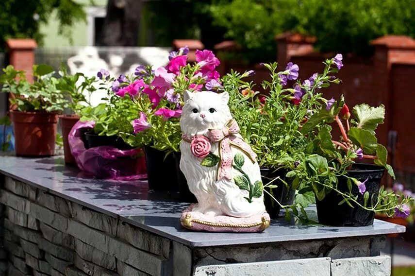 Кошкин дом зеленоградск. Отель кошкин дом зеленоградск. кошкин дом калининград зеленоградск. зеленогорск калининградская область кошкин дом. гостиница для кошек зеленоградск.