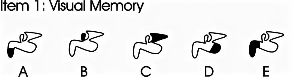 Visual memory. Visual memory