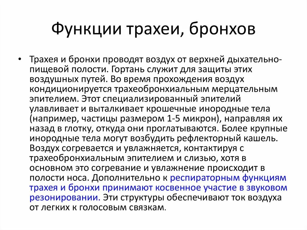 Функции трахеи. Фкнкции трехеи и бронх. Функции бронхов. Функции трахеи и бронхов. Функции трахей и бронхрв.