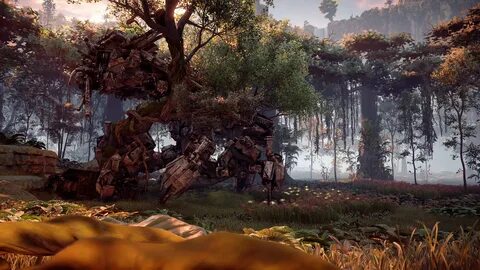 Horizon сохранения