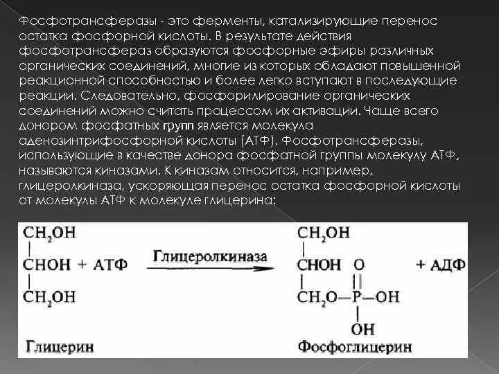 Глицерин атф. Глицеролкиназа. Фосфотрансфераза примеры. Киназы примеры реакций. Фосфотрансферазы примеры реакций.