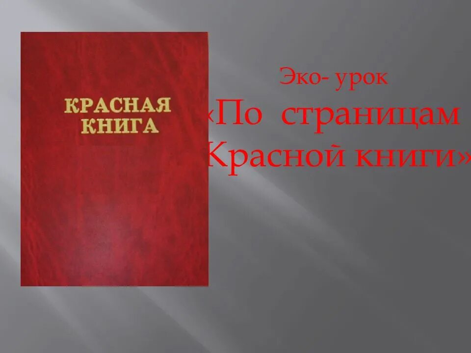 Пиши красная книга. По страницам красной книги. Красная книга обложка. Знак красной книги. Я И красная книга.