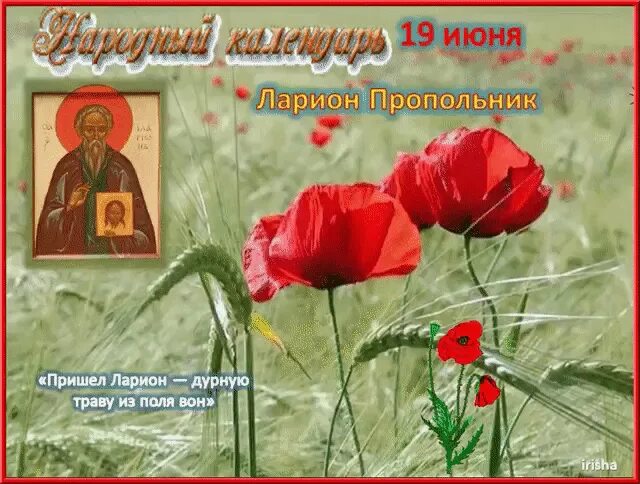 Дата 19 июня. 19 Июня праздник. 19 Июня народный календарь.