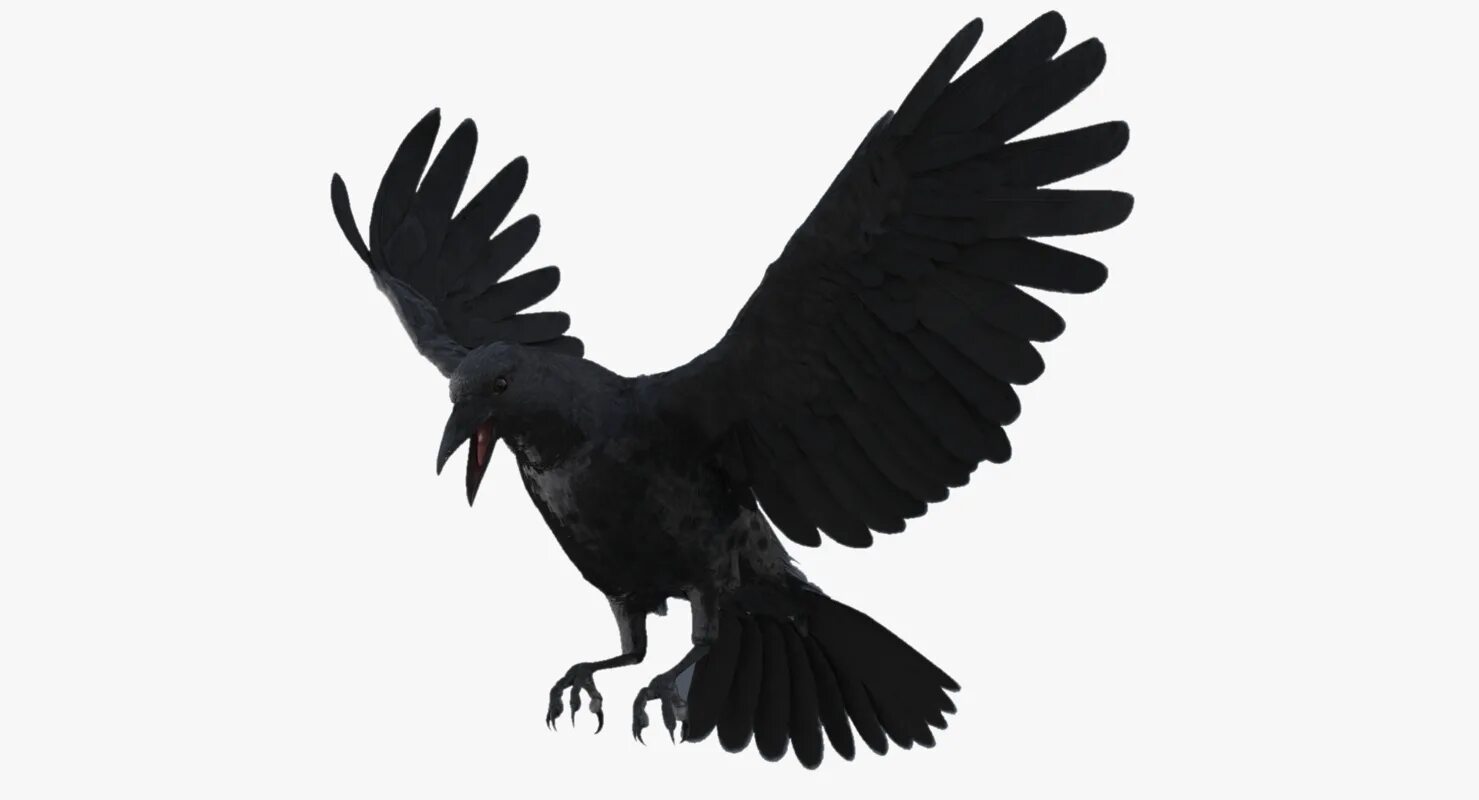 3д модель вороны. 3д модель вороны. ворон 3d модель. три ворона. ворон 3d модель.
