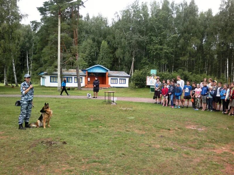 Лагеря в новгородской области. Лагерь Лесная сказка Новгородская область. Детский лагерь Лесная сказка Новгородская область. Лесная сказка лагерь Старорусский район. Пионерский лагерь Лесная сказка Новгородская область.