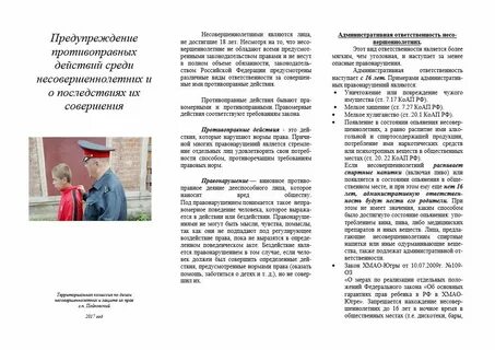 Профилактика противоправного поведения