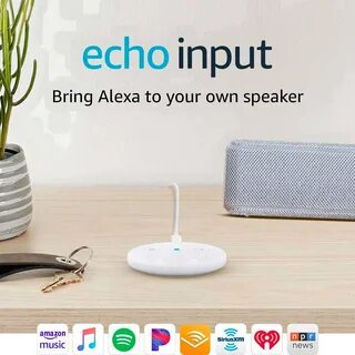 Input echo